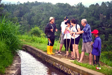Private Jatiluwih Paddy Fields and Rainforest Trekking with Local Farmers in Bali