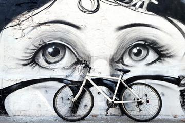 Private Street Art Bike Tour in Barcelona