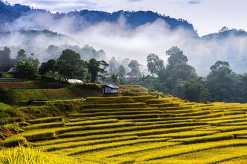 Private Tour: Trekking at Mae Klang Luang Village in Chiang Mai with A Local