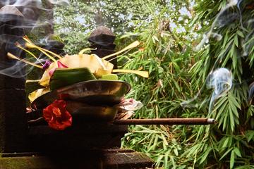Private Ubad Ubud Spiritual Healer