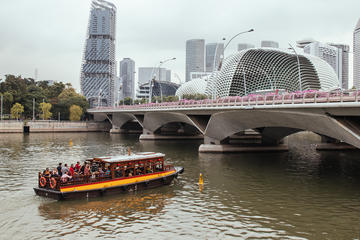 Singapore's Famous Sights & Secrets Private Tour