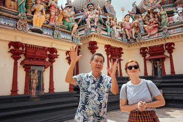 The Best of Singapore in a Day Private Tour