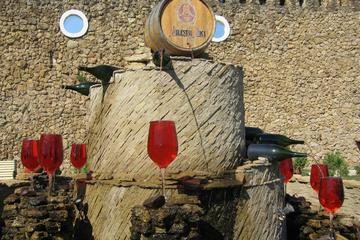 2 Excursions in One Day Milestii Mici Winery and Tiraspol Transnistria