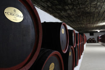 3 Excursions in One Day Cricova Winery, Curchi Monastery and Old Orhei from Chisinau