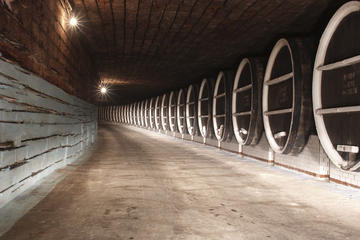 Chisinau City Tour and Milestii Mici Winery with wine tasting