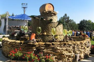 Wine tour to Milestii Mici Winery from Chisinau