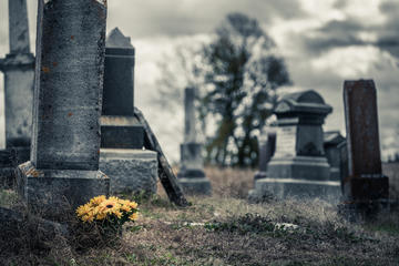 Cemetery Bus Tour in New Orleans