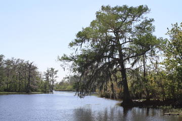 New Orleans Ghost and Gators Combo Tour