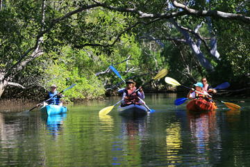 Brunswick Heads Kayak Eco-Tour and Stand-Up Paddleboarding