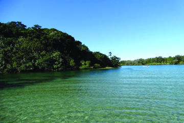 Brunswick Heads Rainforest Eco-Cruise