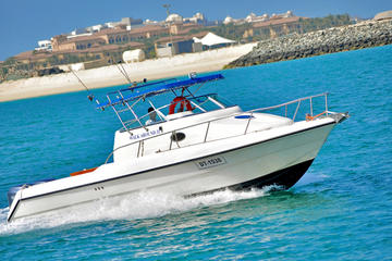 Private Tour: Dubai Sightseeing Speedboat Cruise