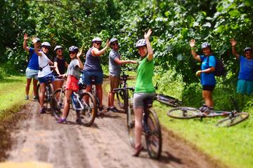 Easy Rarotonga Cycling Tour with Lunch
