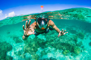 Aria Snorkel Mask Rental