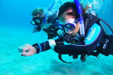 2-Day Advanced Open Water Diver Course in Ko Lipe Satun