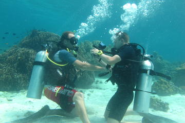 3-Day Open Water Diver Course in Ko Lipe Satun