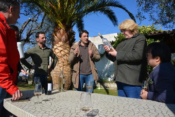 French Riviera Wine Tasting Tour and Lunch with Transport from Nice