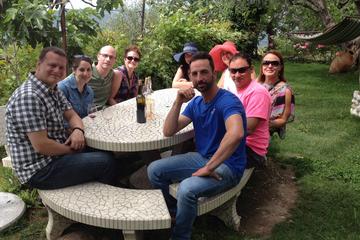 Full-Day Small-Group Provence Wine Tour from Nice