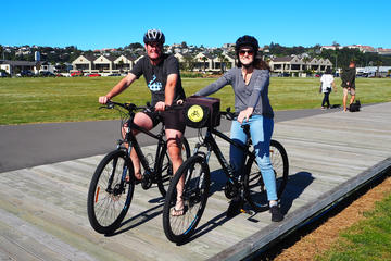 Napier Hybrid Bike Rental