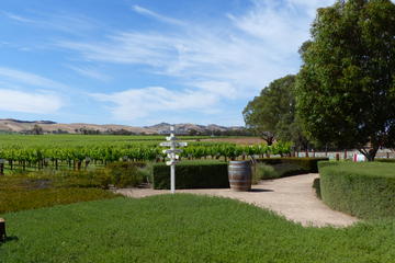 Barossa Valley Day Trip from Adelaide Including Gourmet Pizza Lunch