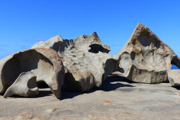Overnight Kangaroo Island Wildlife Adventure from Adelaide