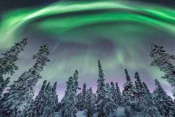 3-Day Private Winter Tour to Mohe-County, Arctic Village Scenic Area, Yanzhi Valley and Santa Claus House From Harbin