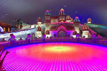 4-Hour Private Tour of the Largest Indoor Ice and Snow Paradise