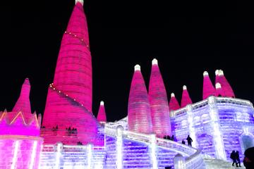 All-Inclusive Private Day Tour to Ice and Snow Festival plus Icy Swimming Show