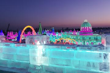 All-Inclusive Private Day Tour to Ice Swimming Show, Snow Fair on Sun Island, Ice and Snow World