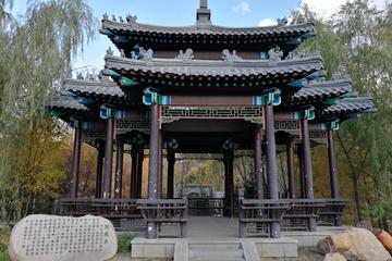 Harbin China's Pavilion Garden and Gogol Street Private Tour with Chunbing Lunch