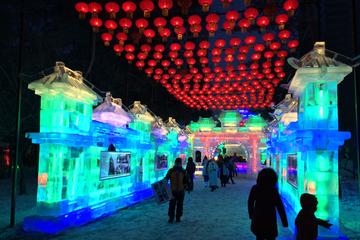 Harbin City Private Day Tour in Your Way in Winter Season