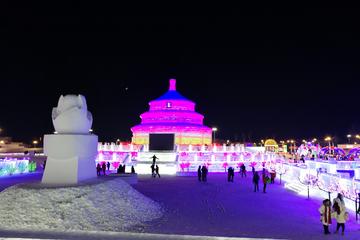 Private 2-Day Tour: City Discovery including Ice and Snow Festival in Harbin