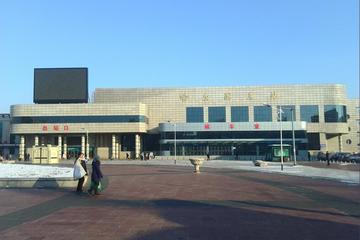 Private Departure Transfer to Harbin East Railway Station from Harbin City Hotel