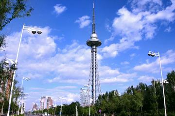Revolving Restaurant Dining Experience at Harbin Dragon Tower