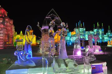 Shared Transfer Service to Ice and Snow World, Sun Island Snow Festival, Tiger Park