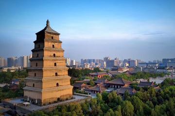 2-Day Xi'an Private Tour Combo Package