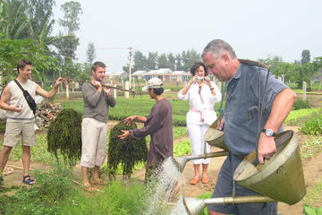 Full-Day Hoi An Countryside Bike Tour Including Thanh Nam and Tra Que Villages and Cooking Class