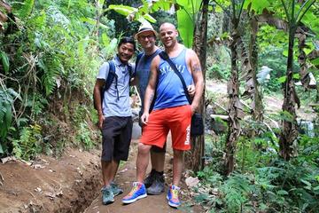 Full-Day Trekking and Sightseeing Tour from Ubud