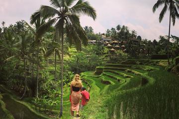 Private Tour: Balinese Culture and Scenery