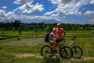 Rare Beauty of Bali Private Bike Tour from Ubud