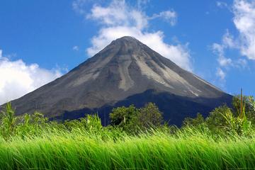 Day Trip from San Jose to Arenal Hanging Bridges & Tabacon Hot Springs Resort