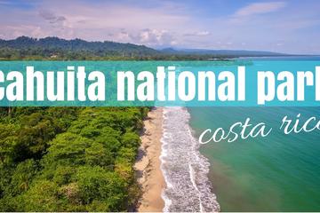 Day Trip from San Jose to Cahuita National Park (Caribbean Coast)