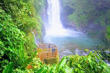 Day trip from San Jose to Doka Coffee Plantations & La Paz Waterfall Gardens