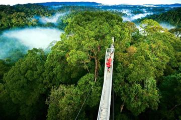 Day trip from San Jose to Monteverde Cloud Forest & Sky Adventure Park