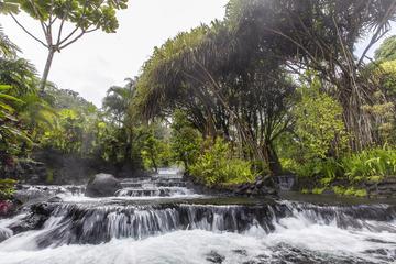 Day Trip from San Jose to Tabacon Hot Springs Resort & Spa