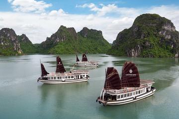 Halong 1 day tour luxury cruise - small group tour