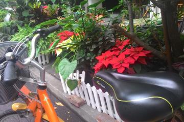 iBike Tour: City Biking and Visiting in Taichung