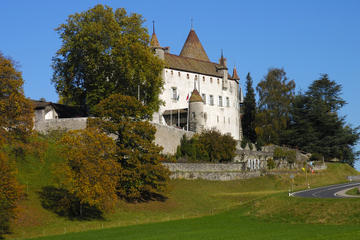2-Day Switzerland Tour from Zurich to Geneva: Lucerne, Interlaken, Bern and Gruyères