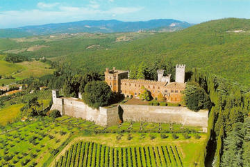Full-Day Private Tour Taste of Chianti from Siena