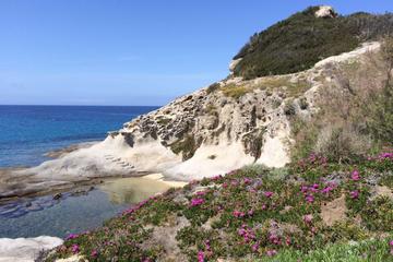 Granite Rock Tour of Elba from Portoferraio with Wine Tasting