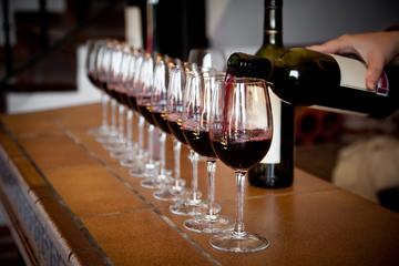 Italian Wine Experience in Siena